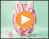 The Bunnybutton Club – Diddeldidi