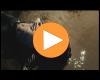Moonkid – Liebe