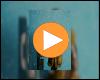 Frida Gold feat. Jupiter Jones – Beweis