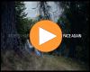 Morten Harket – If I Ever See Your Face Again