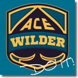 Cover: Ace Wilder - Do It