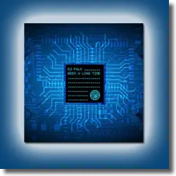 Cover: DJ Falk - Been A Long Time