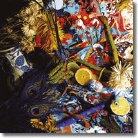 Cover: Animal Collective - Summertime Clothes