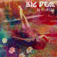 Cover: Big Deal - In Your Car