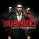 Cover: Bushido - Zeiten ändern dich