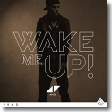 Cover: Avicii feat. Aloe Blacc - Wake Me Up