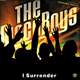 Cover: The Disco Boys - I Surrender