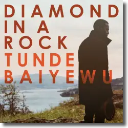 Cover: Tunde Baiyewu - Diamond In A Rock