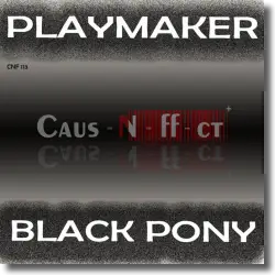 Cover: Playmaker - Black Pony