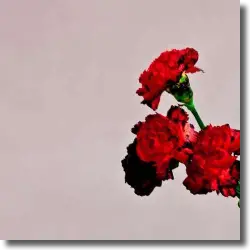 Cover: John Legend - Love In The Future