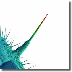 Cover: Peter Gabriel - And I'll Scrach Yours