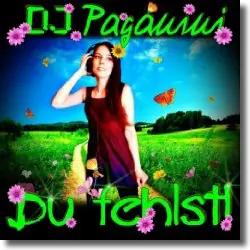 Cover: DJ Paganini - Du fehlst