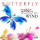 Cover: Techno-Buben feat. Wind - Butterfly