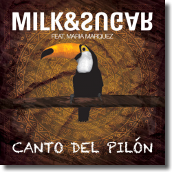 Cover: Milk & Sugar feat. Maria Marquez - Canto del Piln