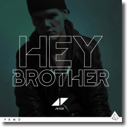 Cover: Avicii - Hey Brother