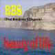 Cover: BBS - Beauty of Life