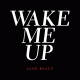 Cover: Aloe Blacc - Wake Me Up (Acoustic)