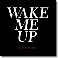 Cover: Aloe Blacc - Wake Me Up (Acoustic)