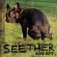 Cover: Seether - Seether 2002-2013