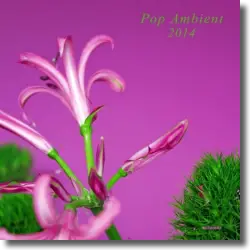 Cover: Pop Ambient 2014 - Various Artists