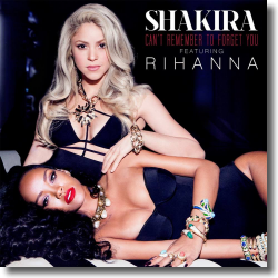Cover: Shakira feat. Rihanna - Can't Remember To Forget You