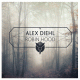 Cover: Alex Diehl - Robin Hood