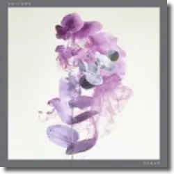 Cover: Editors - Sugar