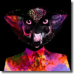 Cover: Robots Don't Sleep - Mirror