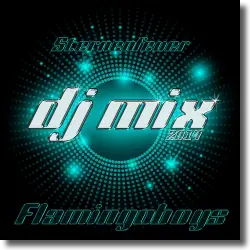Cover: Flamingoboys - Sternenfeuer (DJ Mix 2014)