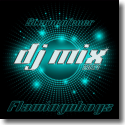 Cover: Flamingoboys - Sternenfeuer (DJ Mix 2014)