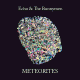 Cover: Echo & The Bunnymen - Meteorites