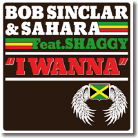 Cover: Bob Sinclar & Sahara feat. Shaggy - I Wanna