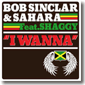 Cover:  Bob Sinclar & Sahara feat. Shaggy - I Wanna