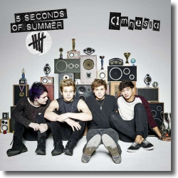Cover: 5 Seconds Of Summer - Amnesia