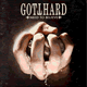 Cover: Gotthard - Need To Believe