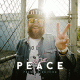 Cover: MC Fitti - Peace