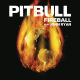 Cover: Pitbull feat. John Ryan - Fireball