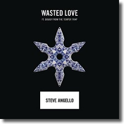 Cover: Steve Angello feat. Dougy - Wasted Love