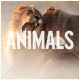 Cover: Maroon 5 - Animals
