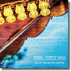 Cover: Young Chinese Dogs - You Can't Find Love In The Summertime