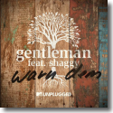 Cover:  Gentleman feat. Shaggy - Warn Dem (MTV Unplugged)