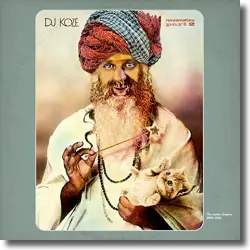 Cover: DJ Koze - Reincarnations, Pt. 2 - The Remix Chapter 2009 - 2014