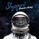 Cover: Sheppard - Bombs Away