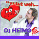Cover: DJ Heimo - Das tut Weh (Remix)