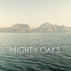 Cover: Mighty Oaks - Back To You