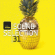 Cover: FM4 Soundselection 31 