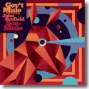 Cover:  Gov'T Mule feat. John Scofield - Sco-Mule