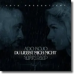 Cover: Ado Kojo feat. Shirin David - Du liebst mich nicht