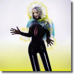 Cover: Bjrk - Vulnicura