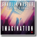 Cover:  Shaolin Master feat. Alex Grace - Imagination